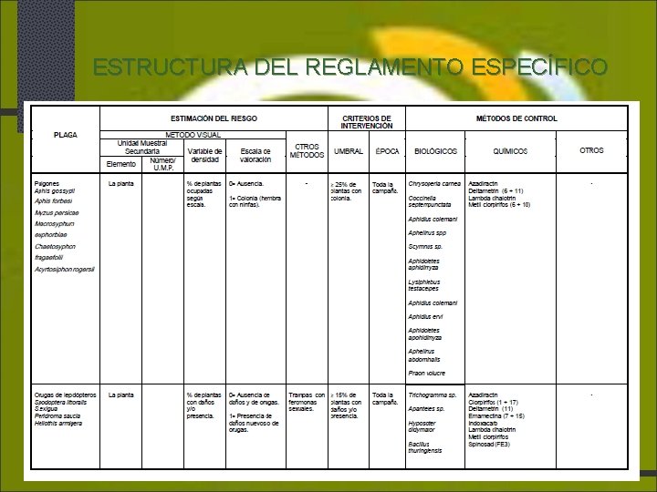 ESTRUCTURA DEL REGLAMENTO ESPECÍFICO 10/28/2020 Agrocolor, S. L. 