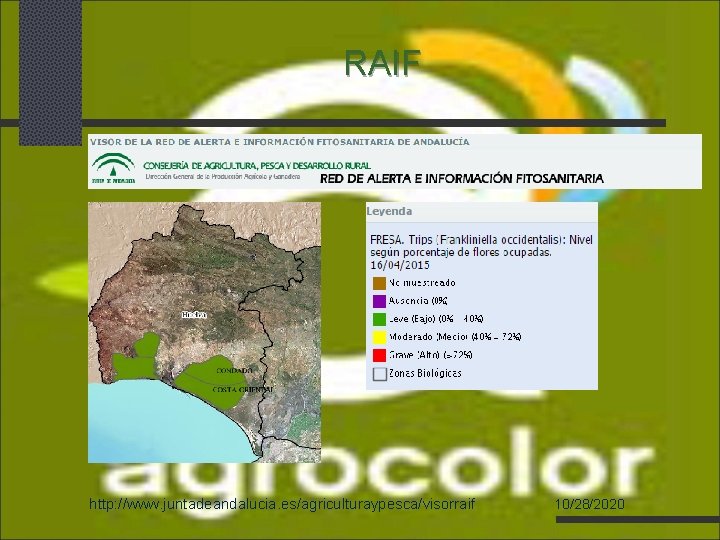 RAIF http: //www. juntadeandalucia. es/agriculturaypesca/visorraif 10/28/2020 