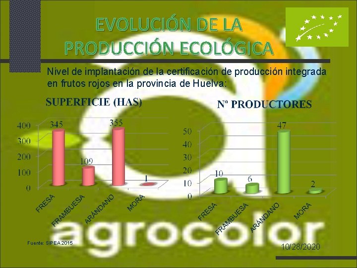 EVOLUCIÓN DE LA PRODUCCIÓN ECOLÓGICA Nivel de implantación de la certificación de producción integrada