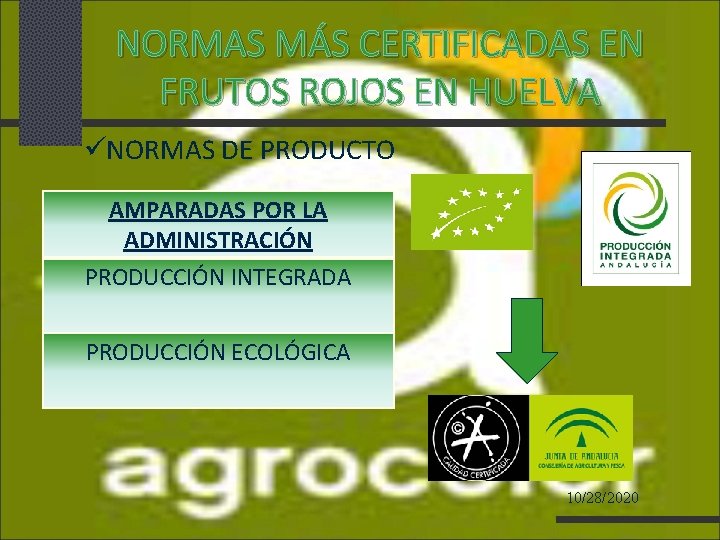 NORMAS MÁS CERTIFICADAS EN FRUTOS ROJOS EN HUELVA NORMAS DE PRODUCTO AMPARADAS POR LA