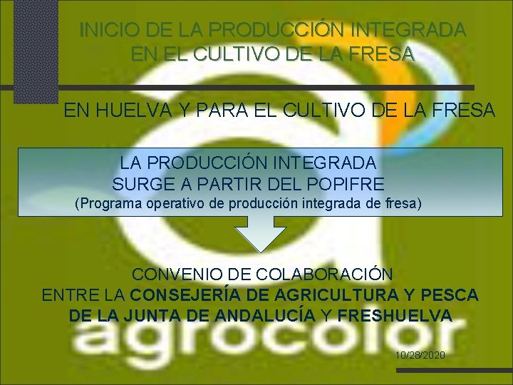 INICIO DE LA PRODUCCIÓN INTEGRADA EN EL CULTIVO DE LA FRESA EN HUELVA Y