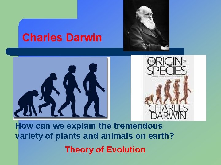 Charles Darwin How can we explain the tremendous variety of plants and animals on