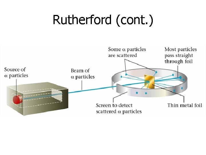 Rutherford (cont. ) 