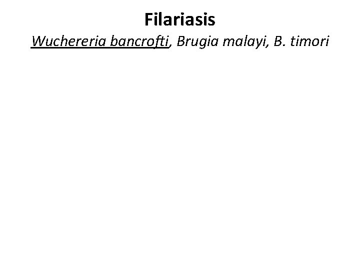 Filariasis Wuchereria bancrofti, Brugia malayi, B. timori Filariasis Wuchereria bancrofti, Brugia malayi, B. timori
