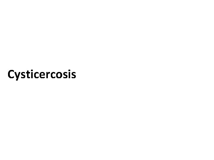 Cysticercosis Cysticercosis