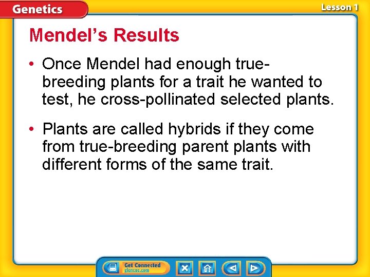 Mendel’s Results • Once Mendel had enough truebreeding plants for a trait he wanted