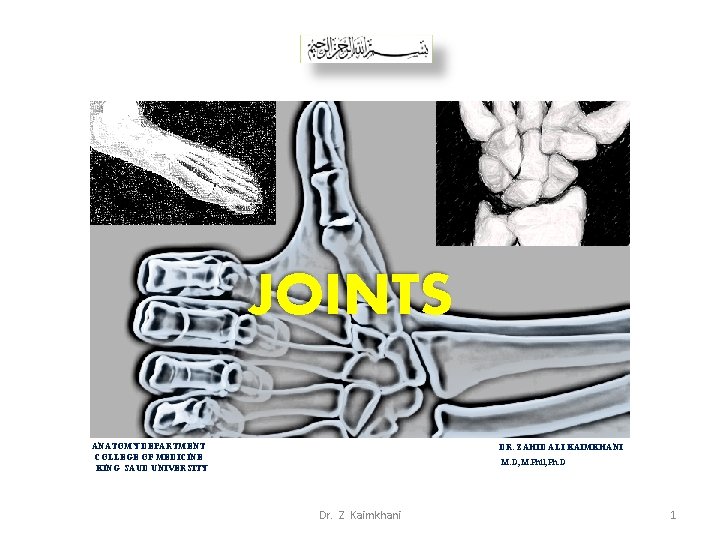 JOINTS ANATOMY DEPARTMENT COLLEGE OF MEDICINE KING SAUD UNIVERSITY DR. ZAHID ALI KAIMKHANI M.