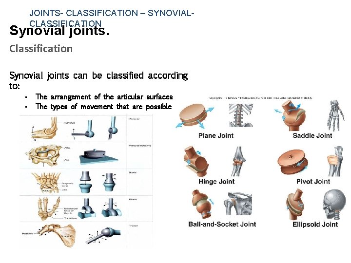 JOINTS- CLASSIFICATION – SYNOVIAL- CLASSIFICATION Synovial joints. Classification Synovial joints can be classified according