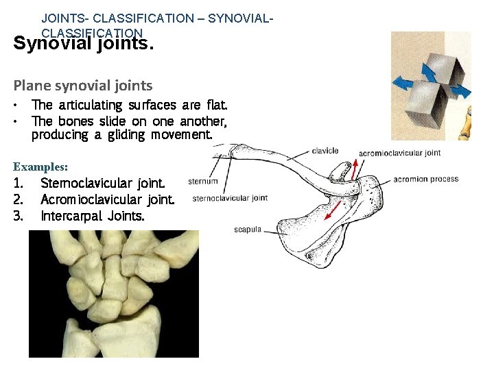 JOINTS- CLASSIFICATION – SYNOVIAL- CLASSIFICATION Synovial joints. Plane synovial joints • • The articulating