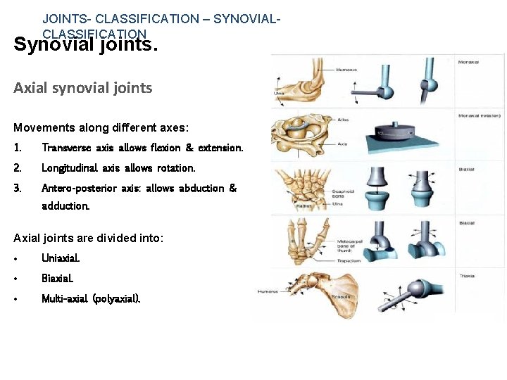 JOINTS- CLASSIFICATION – SYNOVIAL- CLASSIFICATION Synovial joints. Axial synovial joints Movements along different axes:
