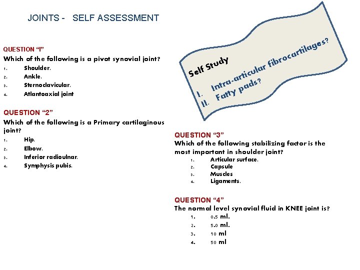 JOINTS - SELF ASSESSMENT ? es g a il QUESTION “I” Which of the