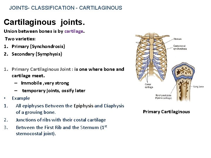 JOINTS- CLASSIFICATION - CARTILAGINOUS Cartilaginous joints. Union between bones is by cartilage. Two varieties:
