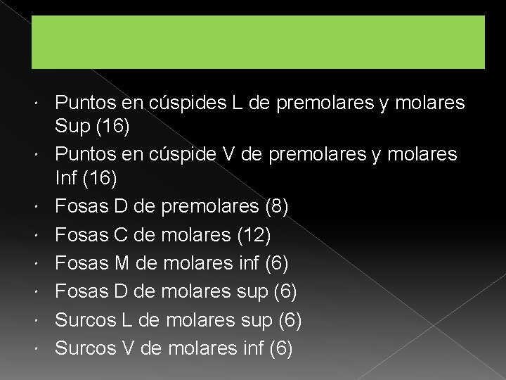  Puntos en cúspides L de premolares y molares Sup (16) Puntos en cúspide