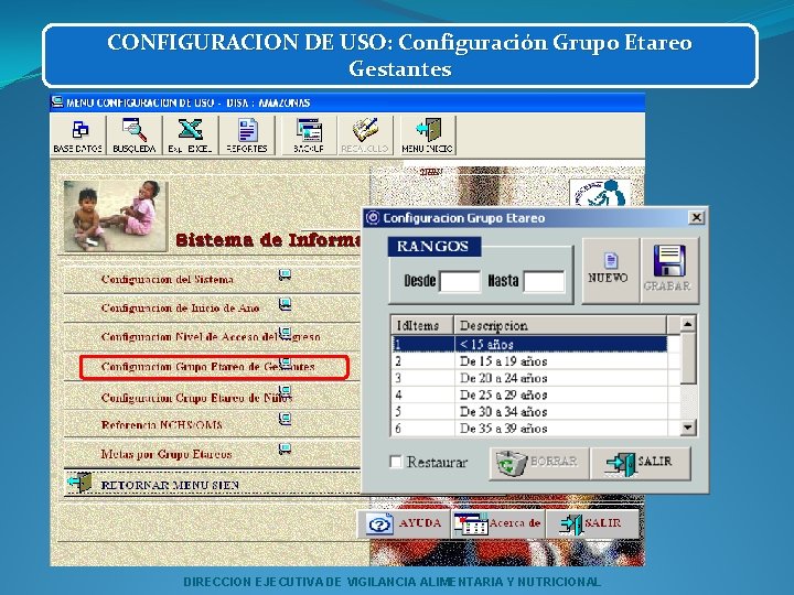 CONFIGURACION DE USO: Configuración Grupo Etareo Gestantes DIRECCION EJECUTIVA DE VIGILANCIA ALIMENTARIA Y NUTRICIONAL