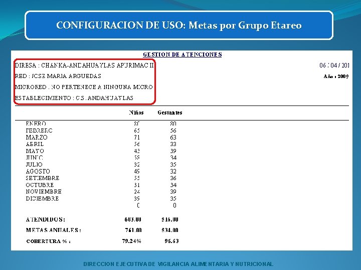 CONFIGURACION DE USO: Metas por Grupo Etareo DIRECCION EJECUTIVA DE VIGILANCIA ALIMENTARIA Y NUTRICIONAL