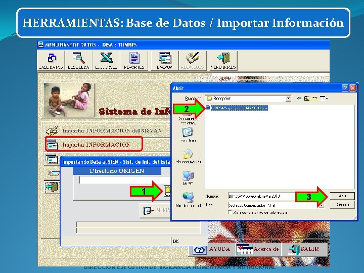 HERRAMIENTAS: Base de Datos / Importar Información 2 1 DIRECCION EJECUTIVA DE VIGILANCIA ALIMENTARIA