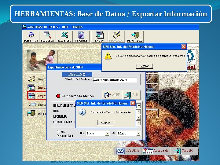 HERRAMIENTAS: Base de Datos / Exportar Información DIRECCION EJECUTIVA DE VIGILANCIA ALIMENTARIA Y NUTRICIONAL