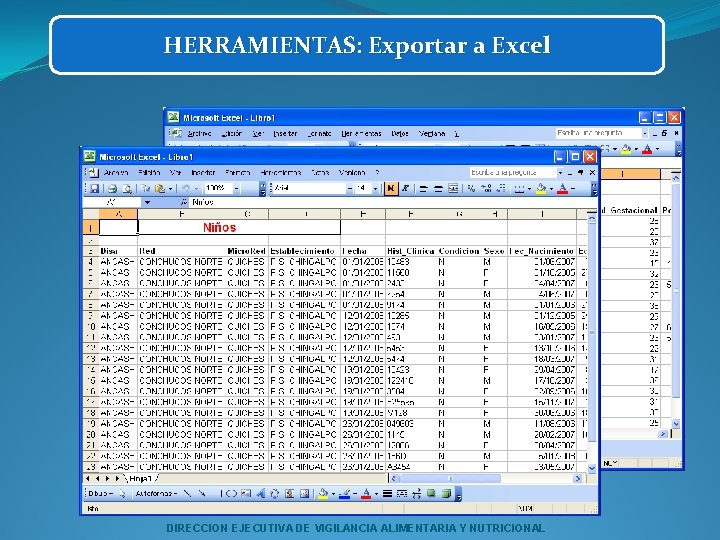 HERRAMIENTAS: Exportar a Excel DIRECCION EJECUTIVA DE VIGILANCIA ALIMENTARIA Y NUTRICIONAL 