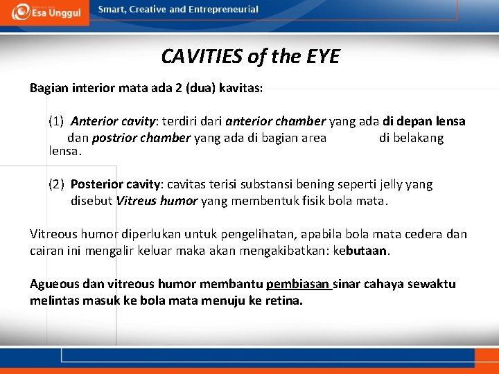 CAVITIES of the EYE Bagian interior mata ada 2 (dua) kavitas: (1) Anterior cavity: