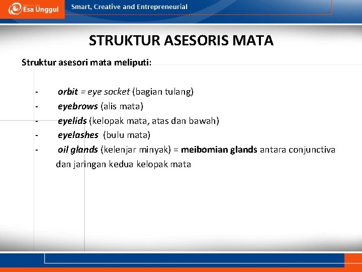 STRUKTUR ASESORIS MATA Struktur asesori mata meliputi: - orbit = eye socket (bagian tulang)
