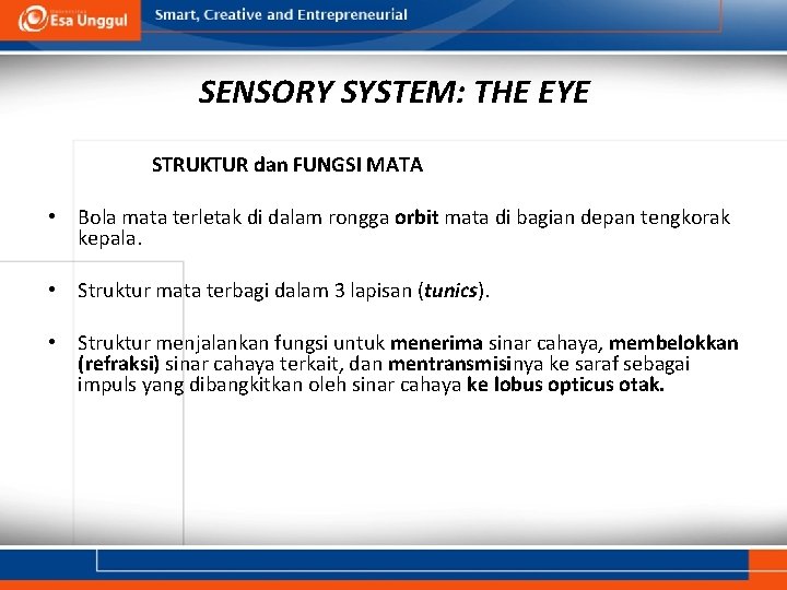 SENSORY SYSTEM: THE EYE STRUKTUR dan FUNGSI MATA • Bola mata terletak di dalam