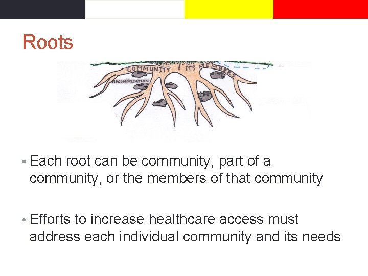Strong Community Roots FROM THE GROUND UP SUPPORTING INDIGENOUS ACCESS TO