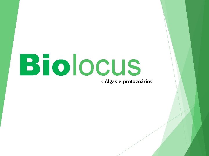 Biolocus < Algas e protozoários 