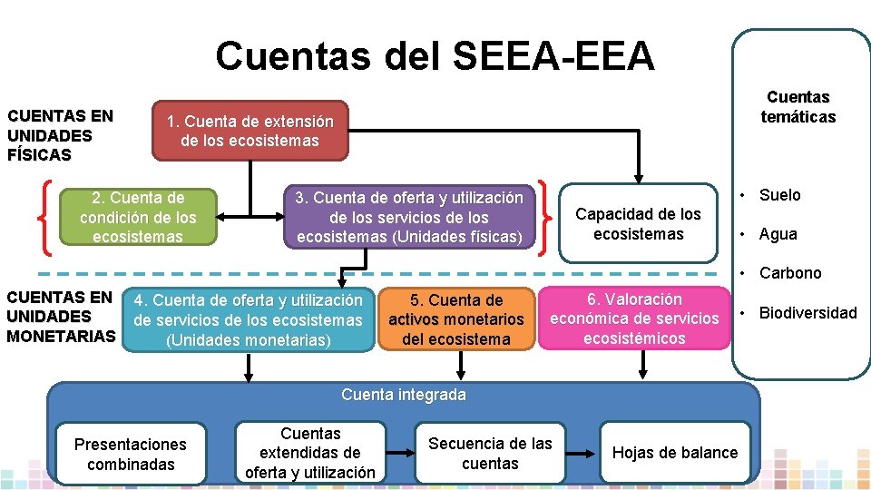 Cuentas del SEEA-EEA CUENTAS EN UNIDADES FÍSICAS Cuentas temáticas 1. Cuenta de extensión de