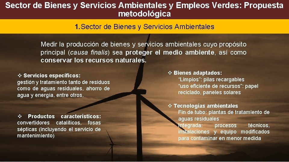 Sector de Bienes y Servicios Ambientales y Empleos Verdes: Propuesta metodológica 1. Sector de