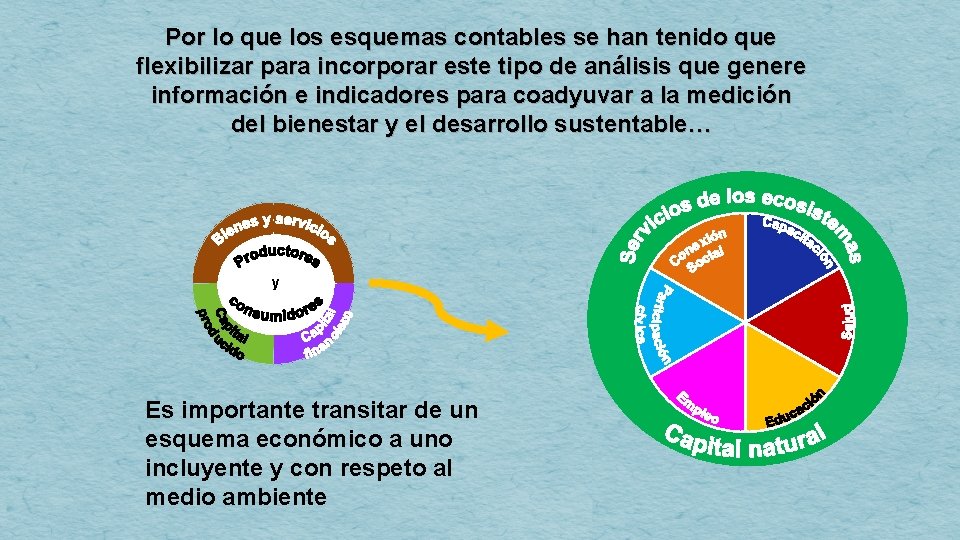 Por lo que los esquemas contables se han tenido que flexibilizar para incorporar este