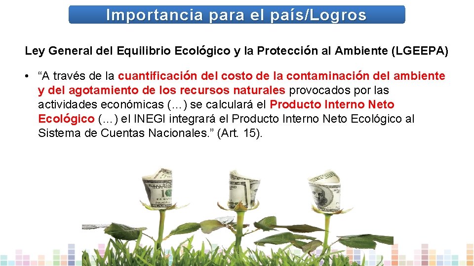 Importancia para el país/Logros Ley General del Equilibrio Ecológico y la Protección al Ambiente