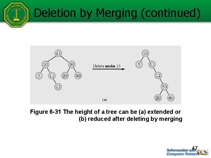 Deletion by Merging (continued) Figure 6 -31 The height of a tree can be