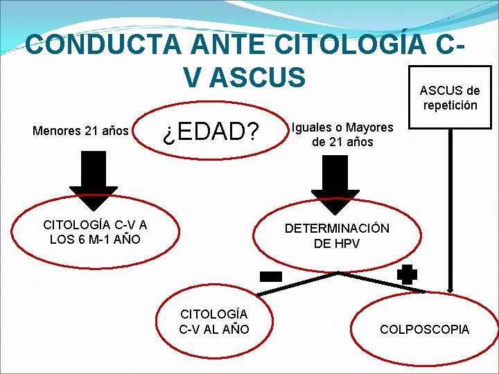 CONDUCTA ANTE CITOLOGÍA CV ASCUS de repetición Menores 21 años ¿EDAD? CITOLOGÍA C-V A