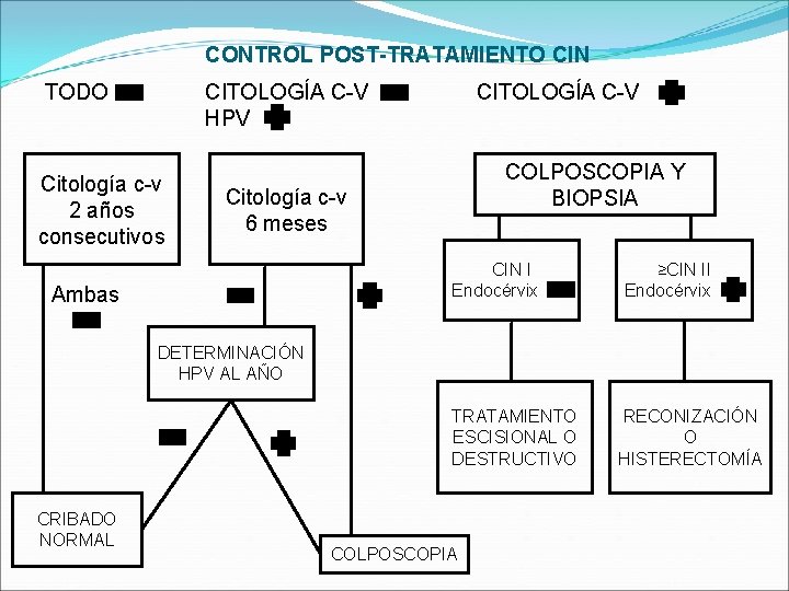 CONTROL POST-TRATAMIENTO CIN TODO CITOLOGÍA C-V HPV Citología c-v 2 años consecutivos CITOLOGÍA C-V