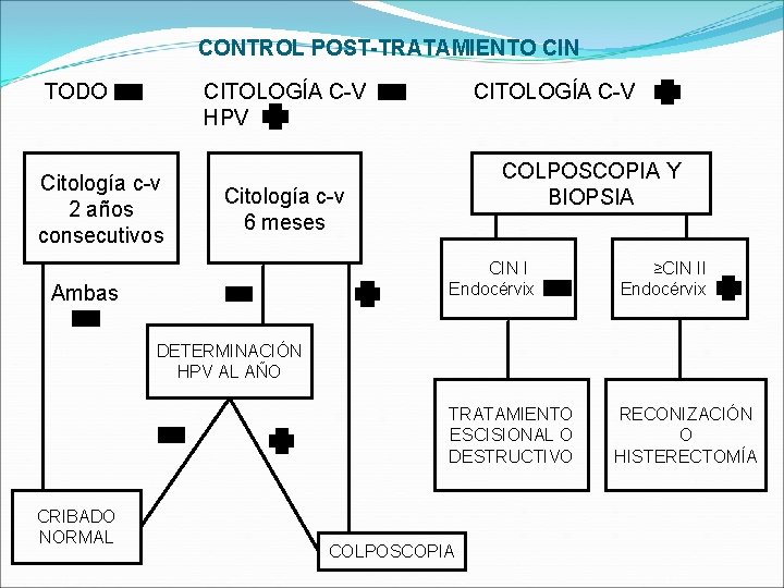 CONTROL POST-TRATAMIENTO CIN TODO CITOLOGÍA C-V HPV Citología c-v 2 años consecutivos CITOLOGÍA C-V