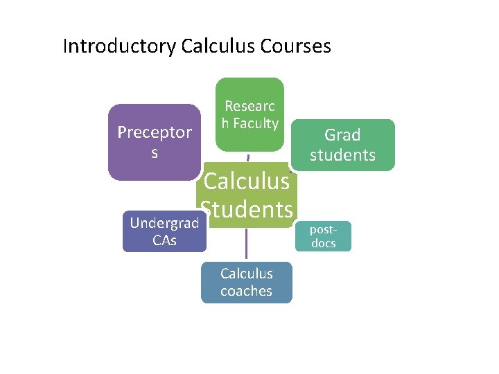Introductory Calculus Courses Preceptor s Researc h Faculty Calculus Students Undergrad CAs Calculus coaches