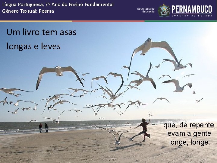 Língua Portuguesa, 7º Ano do Ensino Fundamental Gênero Textual: Poema Um livro tem asas