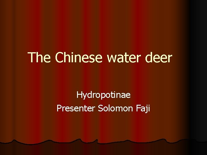 The Chinese water deer Hydropotinae Presenter Solomon Faji 