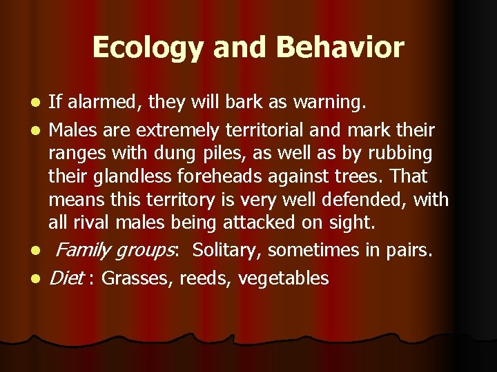 Ecology and Behavior If alarmed, they will bark as warning. l Males are extremely