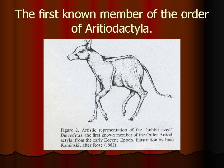 The first known member of the order of Aritiodactyla. 