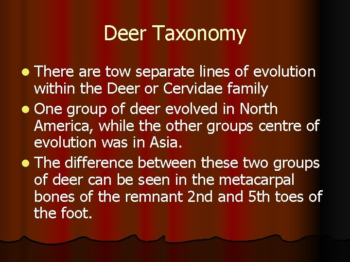 Deer Taxonomy l There are tow separate lines of evolution within the Deer or