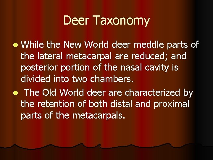 Deer Taxonomy l While the New World deer meddle parts of the lateral metacarpal