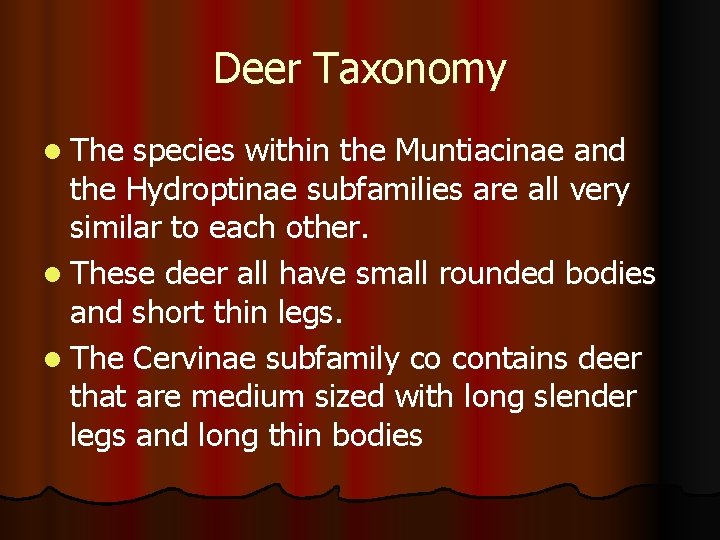 Deer Taxonomy l The species within the Muntiacinae and the Hydroptinae subfamilies are all