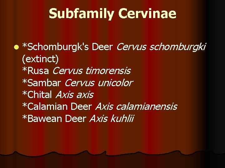 Subfamily Cervinae l *Schomburgk's Deer Cervus schomburgki (extinct) *Rusa Cervus timorensis *Sambar Cervus unicolor
