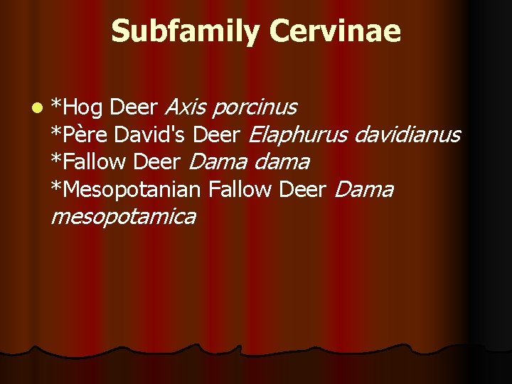 Subfamily Cervinae l *Hog Deer Axis porcinus *Père David's Deer Elaphurus davidianus *Fallow Deer