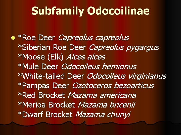Subfamily Odocoilinae l *Roe Deer Capreolus capreolus *Siberian Roe Deer Capreolus pygargus *Moose (Elk)