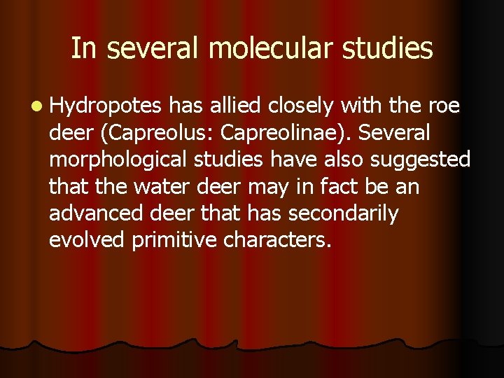 In several molecular studies l Hydropotes has allied closely with the roe deer (Capreolus: