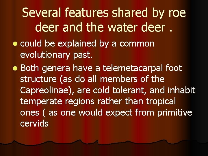 Several features shared by roe deer and the water deer. l could be explained