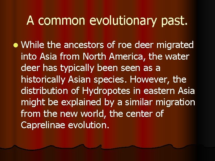 A common evolutionary past. l While the ancestors of roe deer migrated into Asia