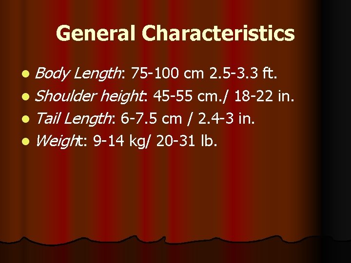 General Characteristics l Body Length: 75 -100 cm 2. 5 -3. 3 ft. l